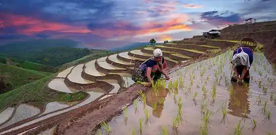 country image