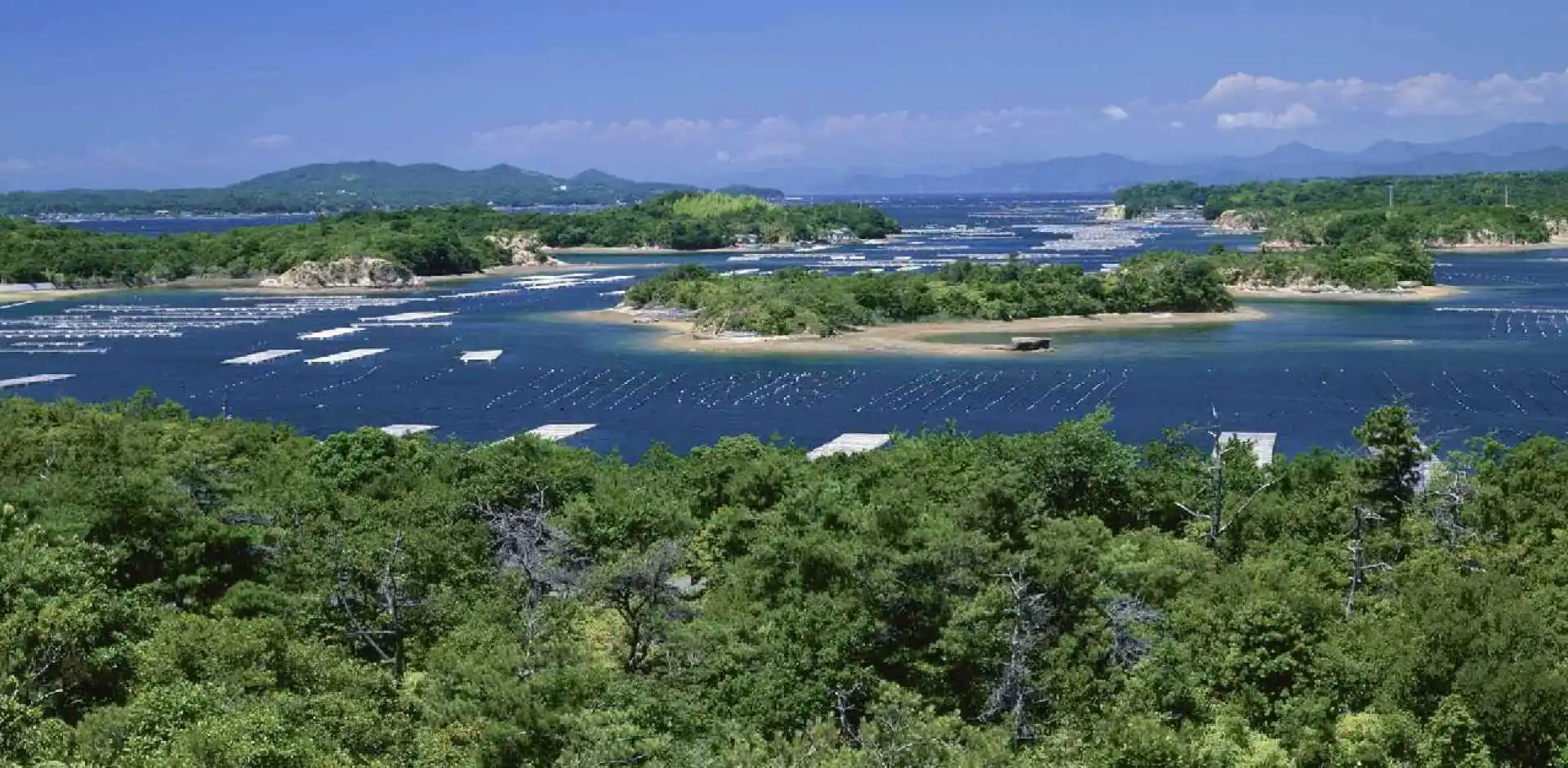 JAP154_5_5.webp