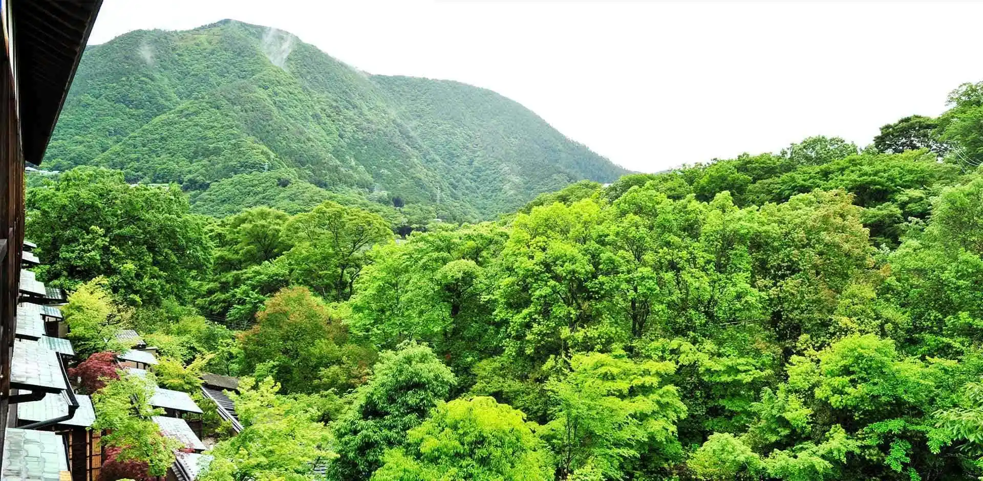 JAP171_6_5.webp