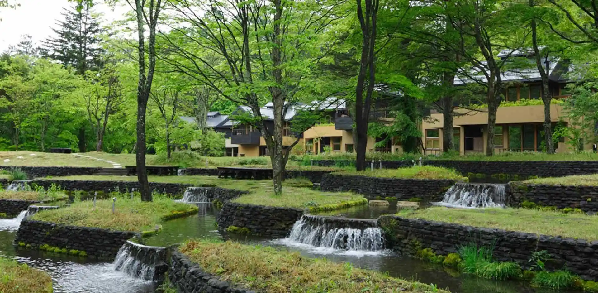 JAP173_2_5.webp