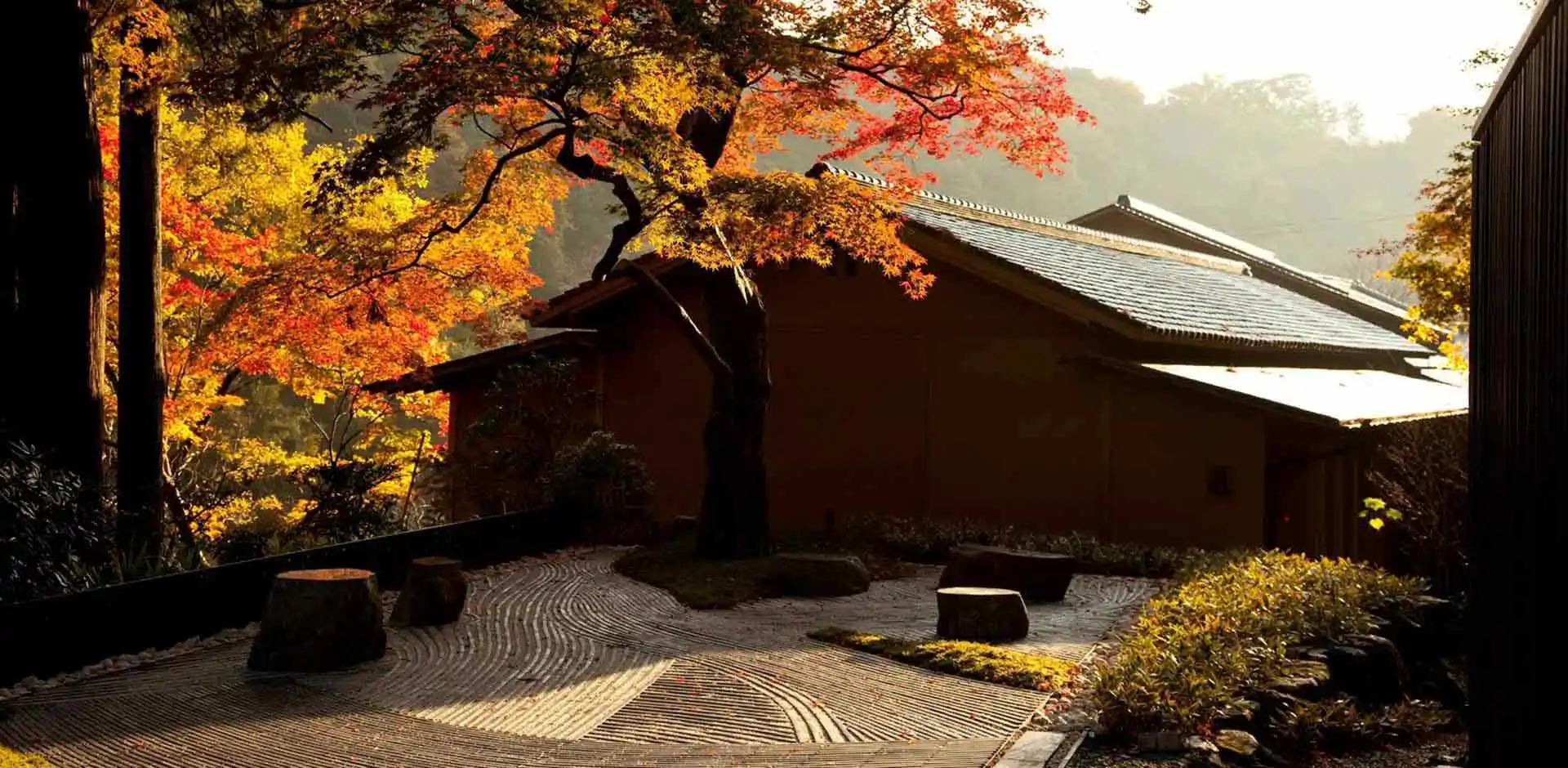 JAP174_5_5.webp