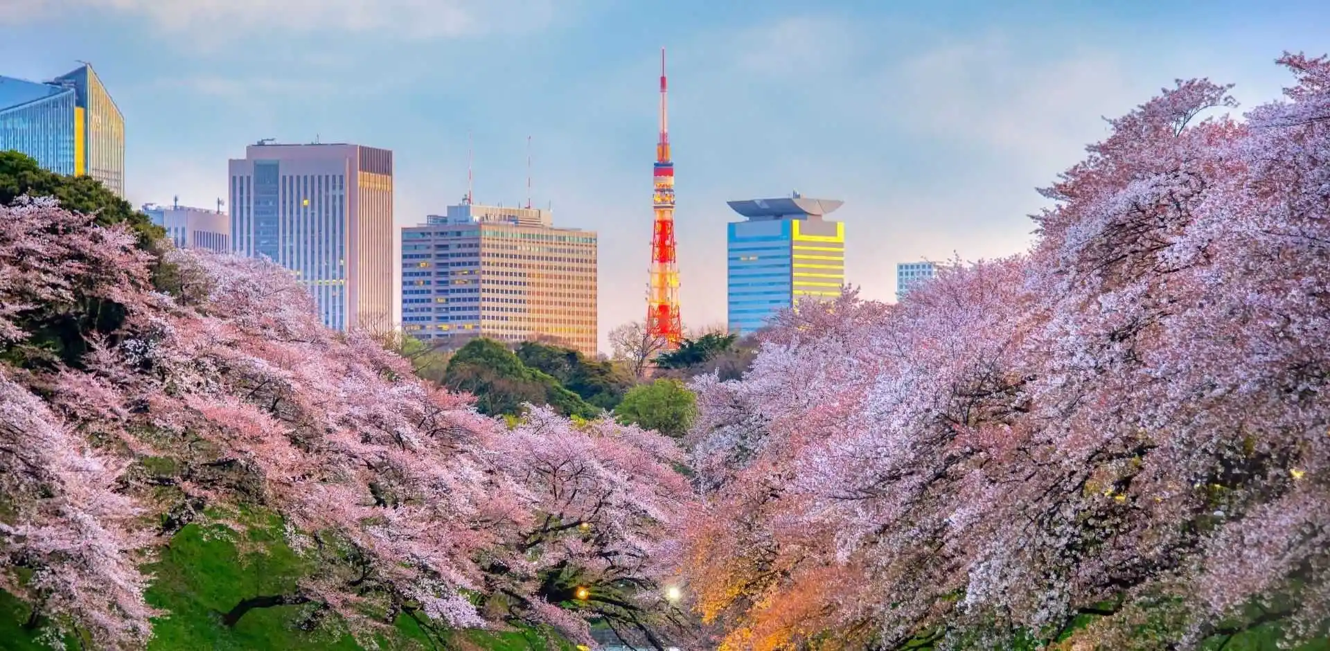 JAP178_1_5.webp