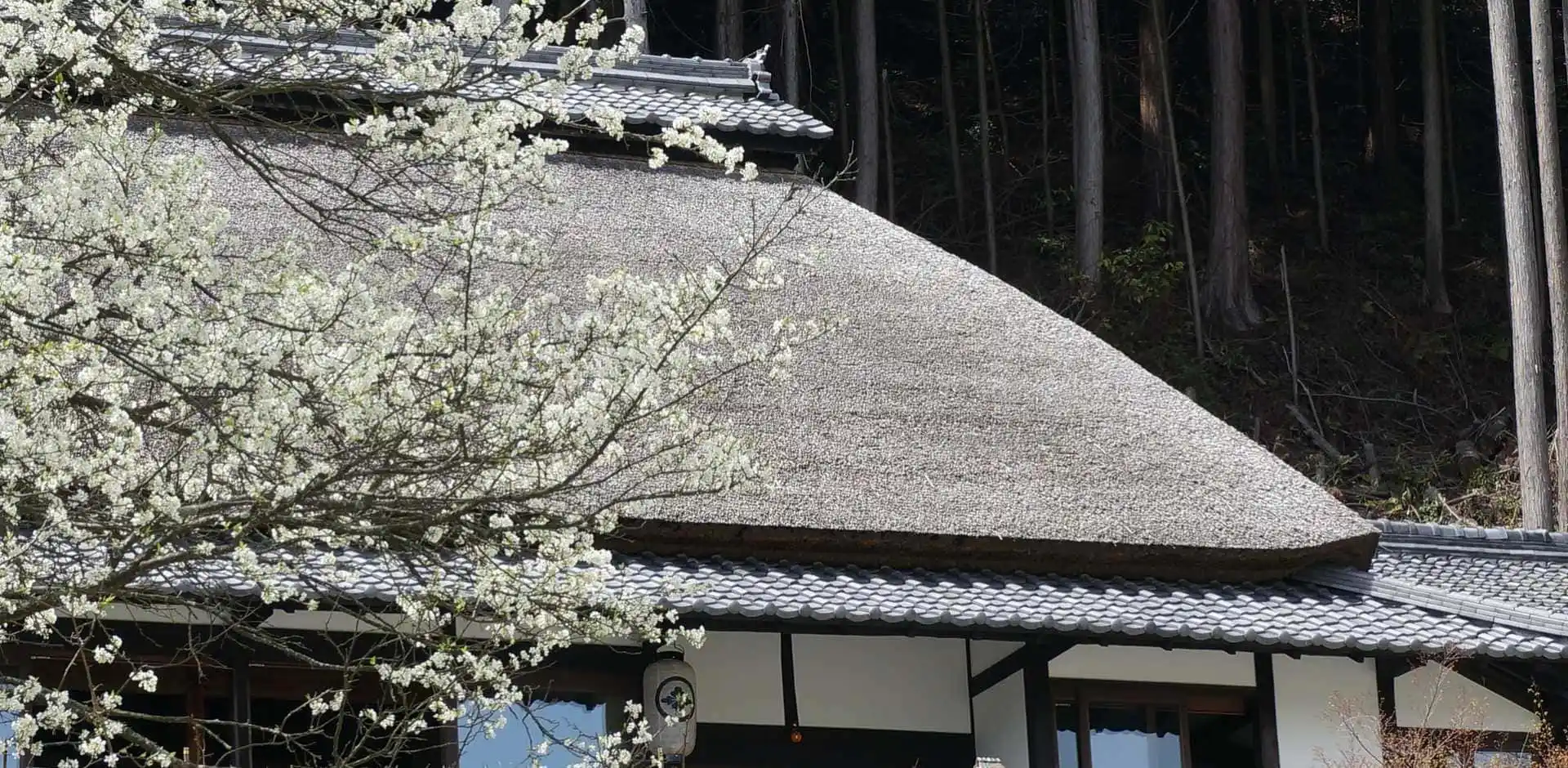 JAP189_2_5.webp