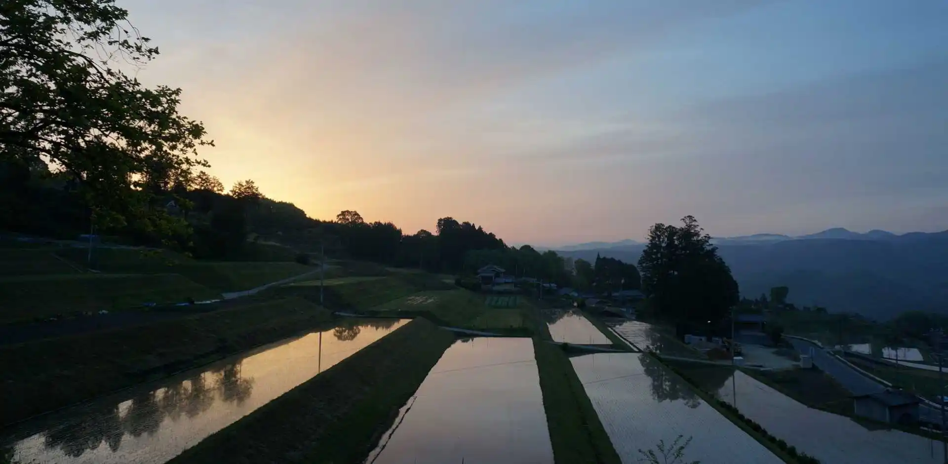 JAP189_5_5.webp