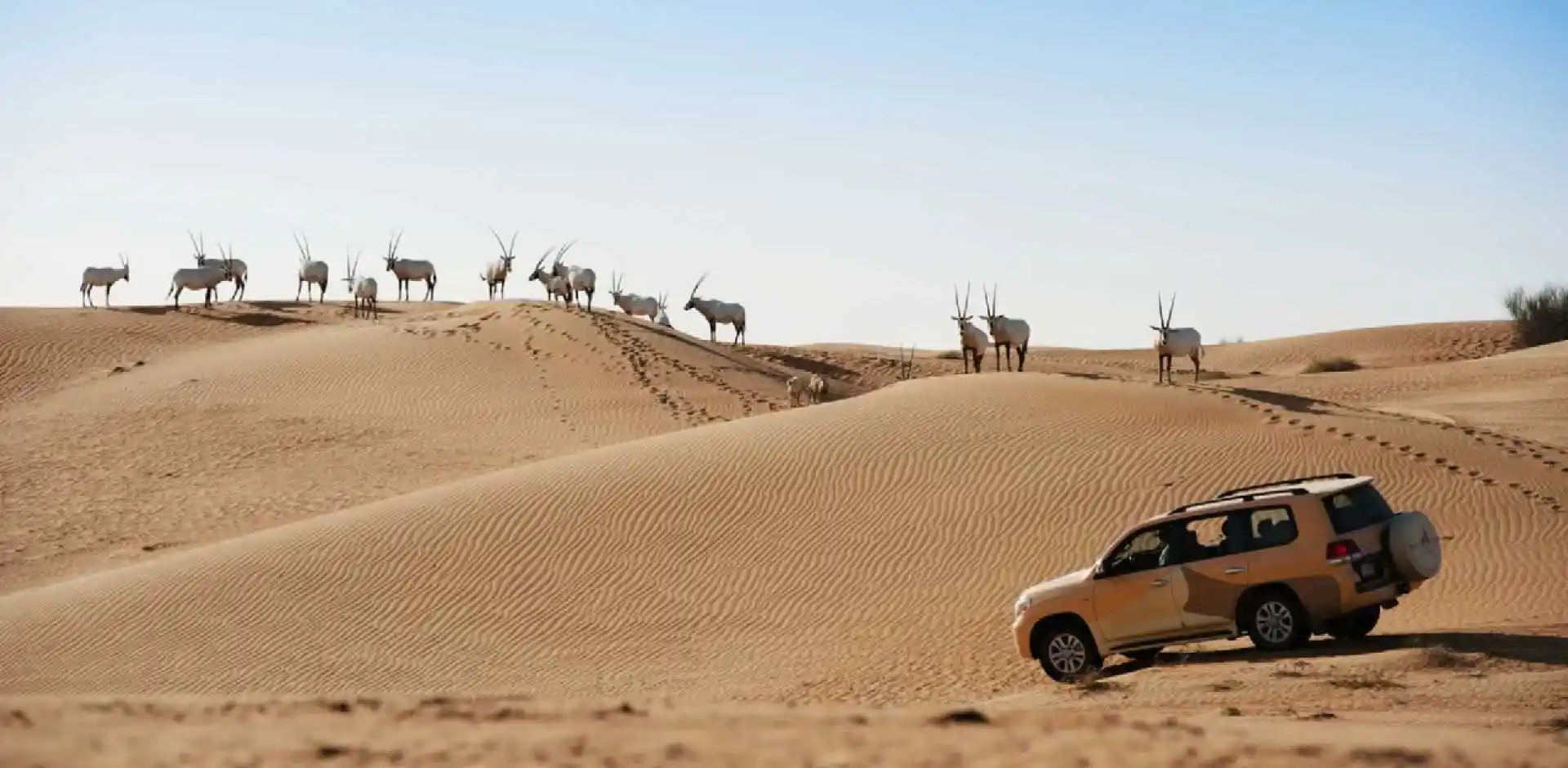 UAE152_5_5.webp