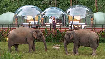 Anantara Golden Triangle Elephant Camp & Resort