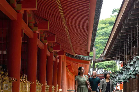 Iconic Japan