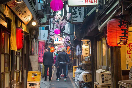 Japan Family Journey: From Ancient to Modern Times