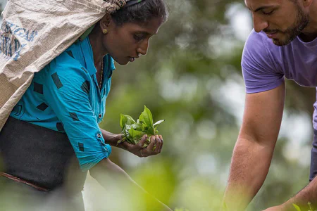 Discover Sri Lanka