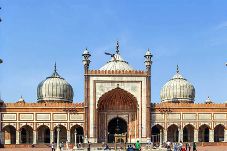 India Wildlife and Heritage Expedition