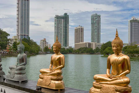 Sri Lanka Safari & Tea Country Expedition