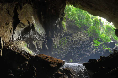 Wild Borneo Adventure Expedition