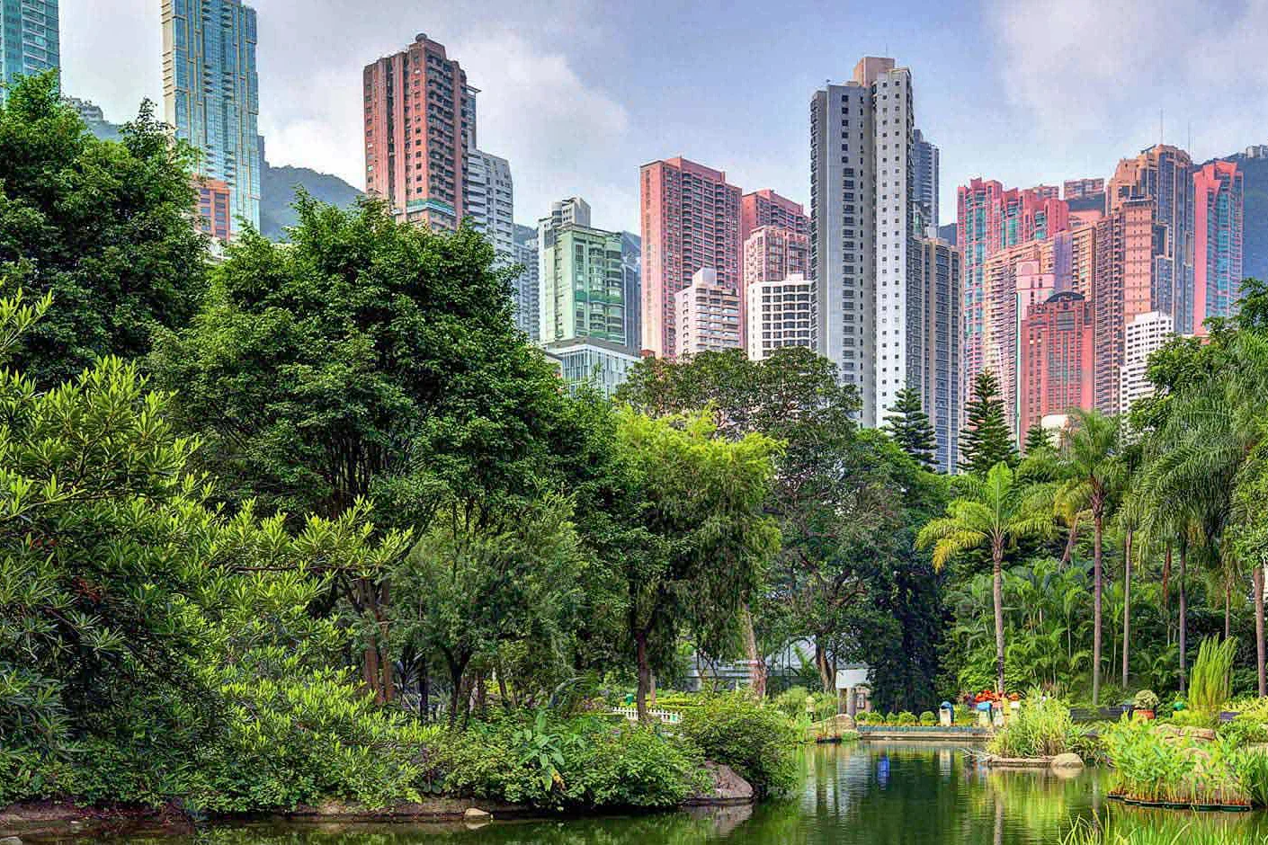 Best of Hong Kong Experience