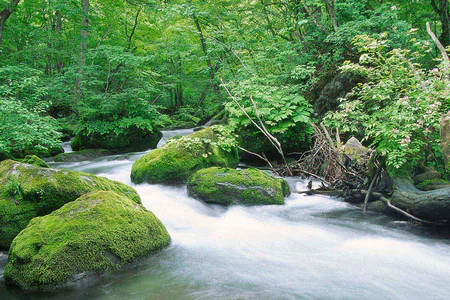 Spiritual North Japan Journey