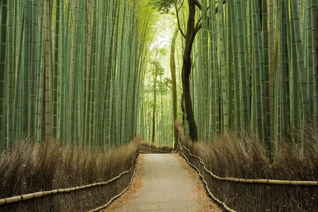 Japan’s Hidden Heritage Trail