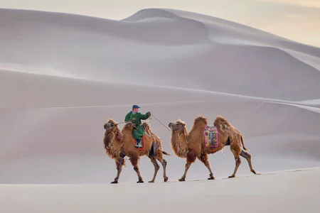 Mongolia Wilderness Journey