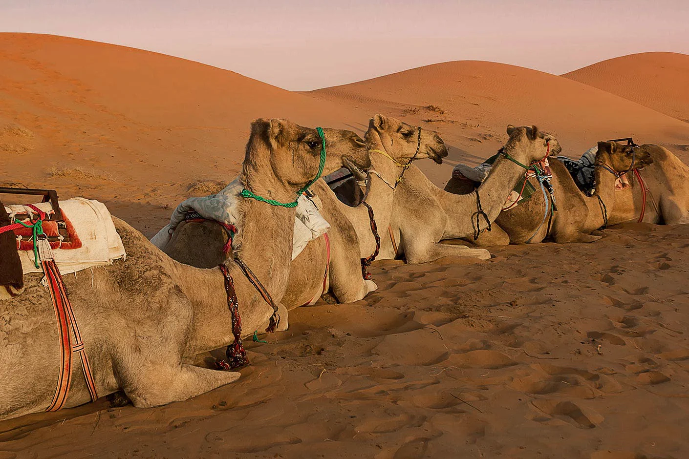 Oman Culture and Adventure
