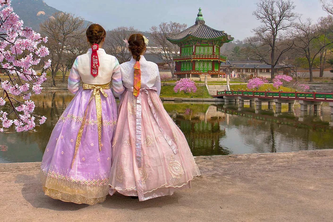 South Korea Wellness Experience
