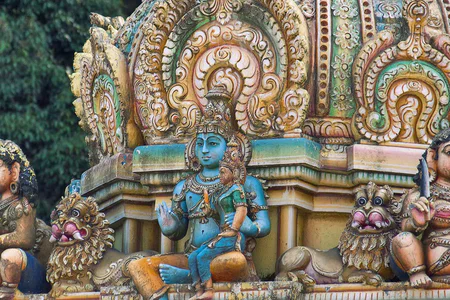 Sri Lanka Family Discovery Tour