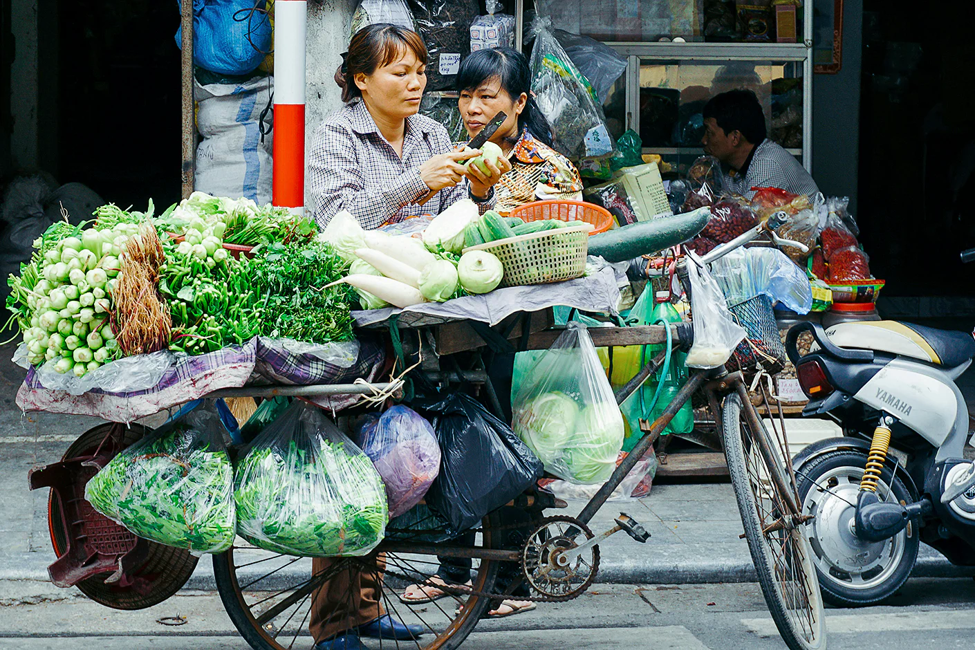 Vietnam Highlights Adventure
