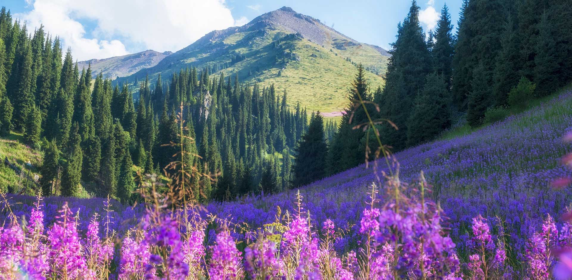 Alatau Mountains