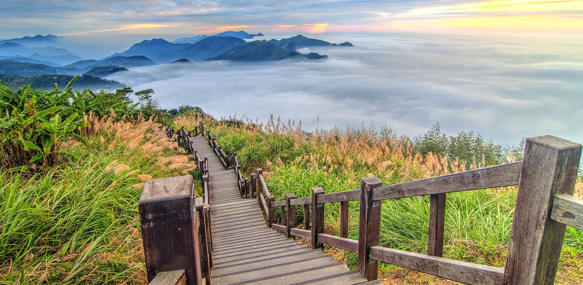 Alishan National Park