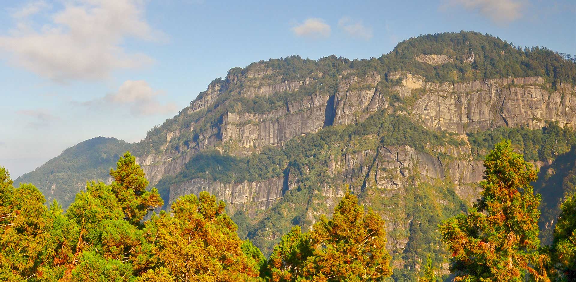 Alishan National Park