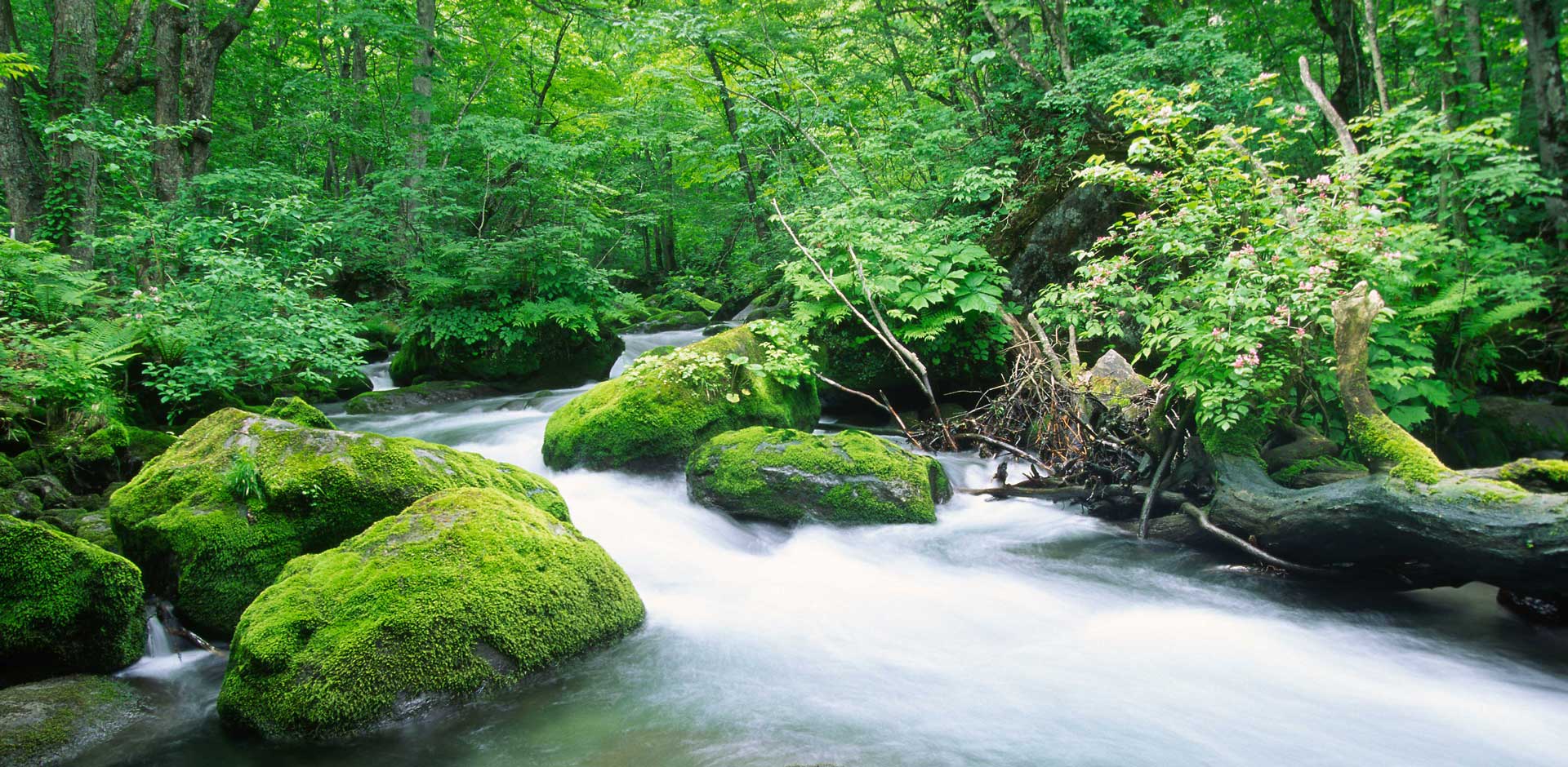 Aomori