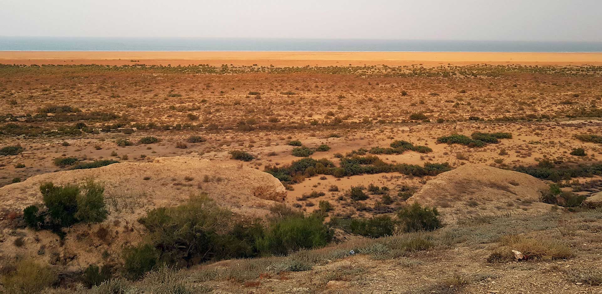 Aral Sea