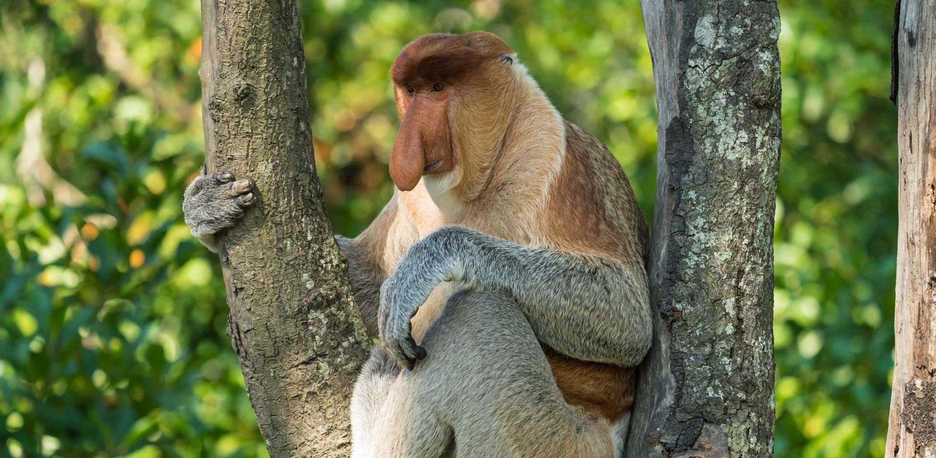 Bako National Park