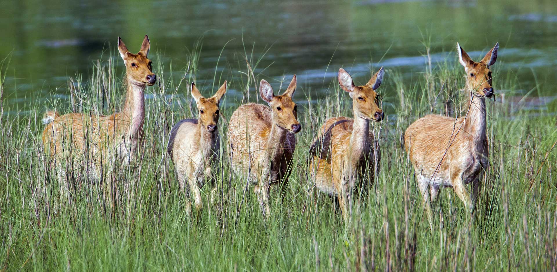 Bardia National Park