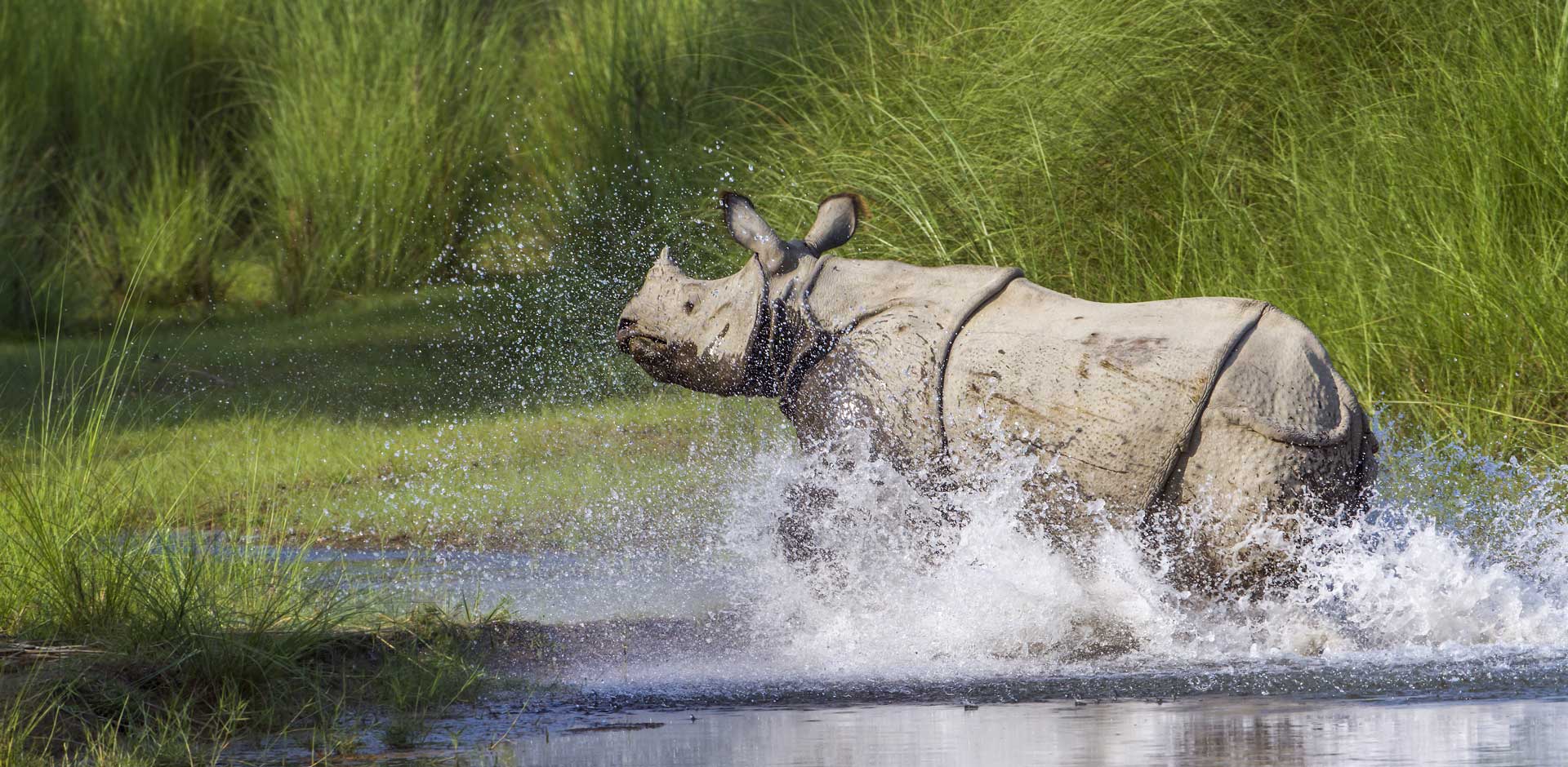 Bardia National Park