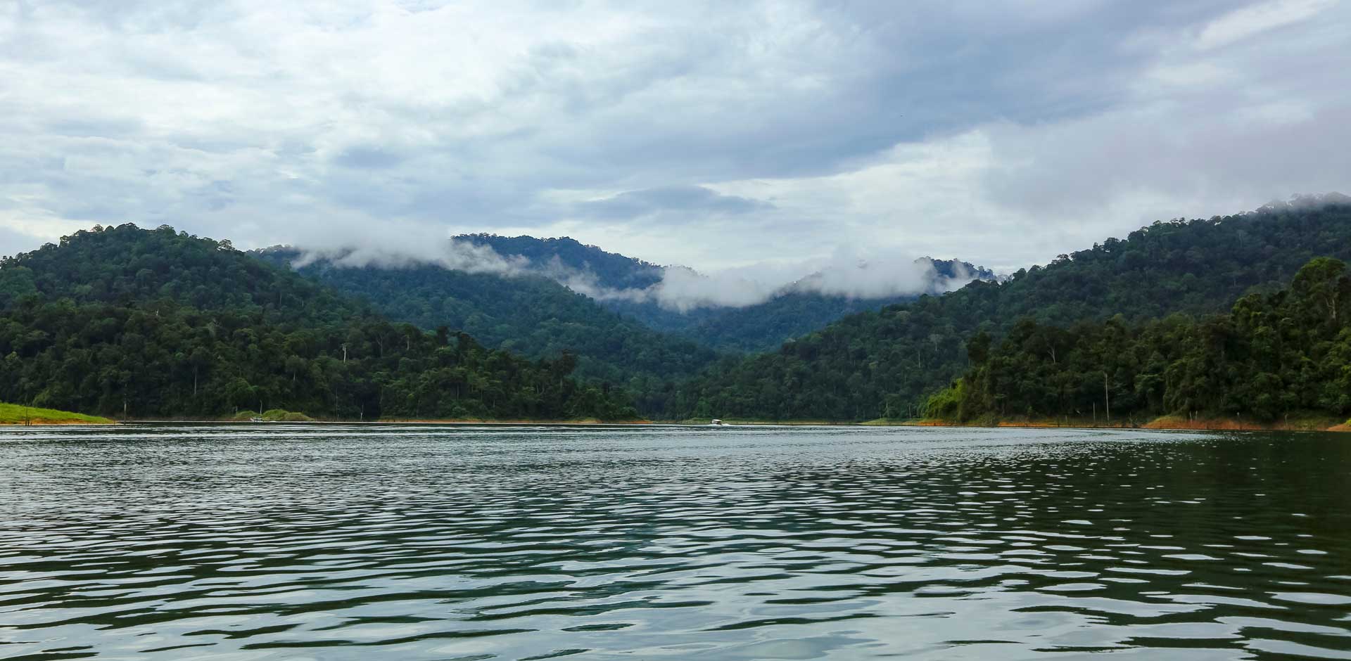 Belum-Temengor Rainforest