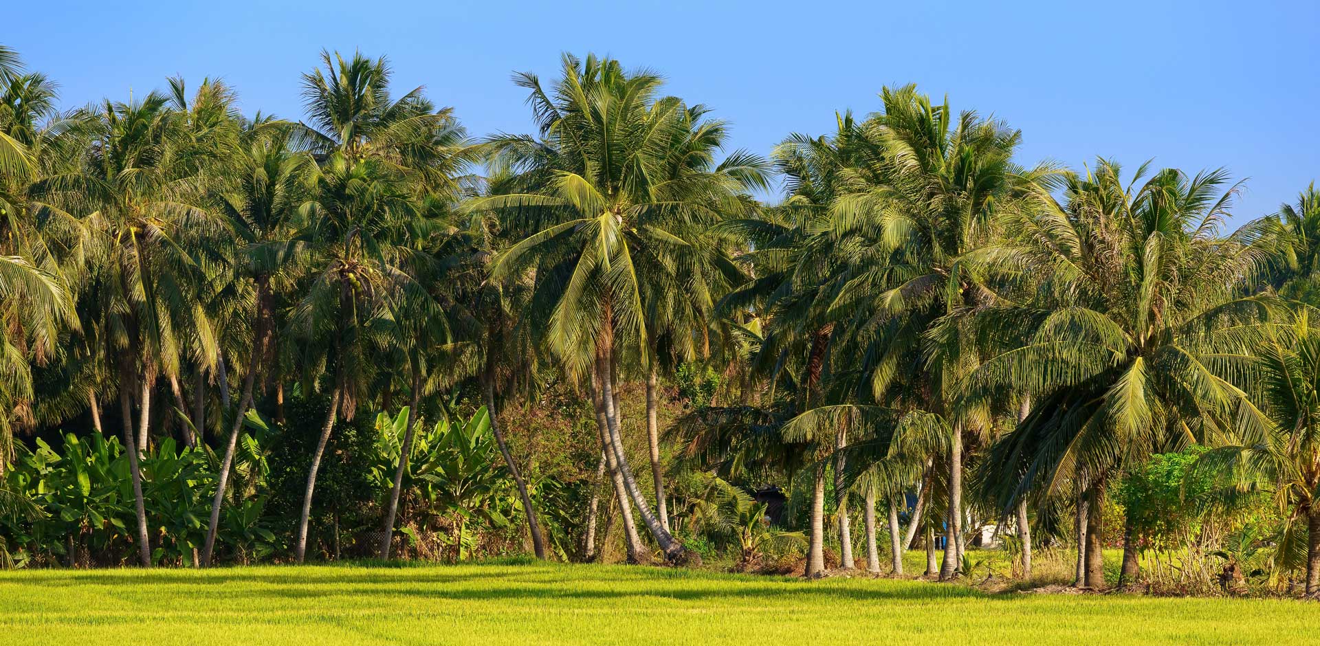 Ben Tre