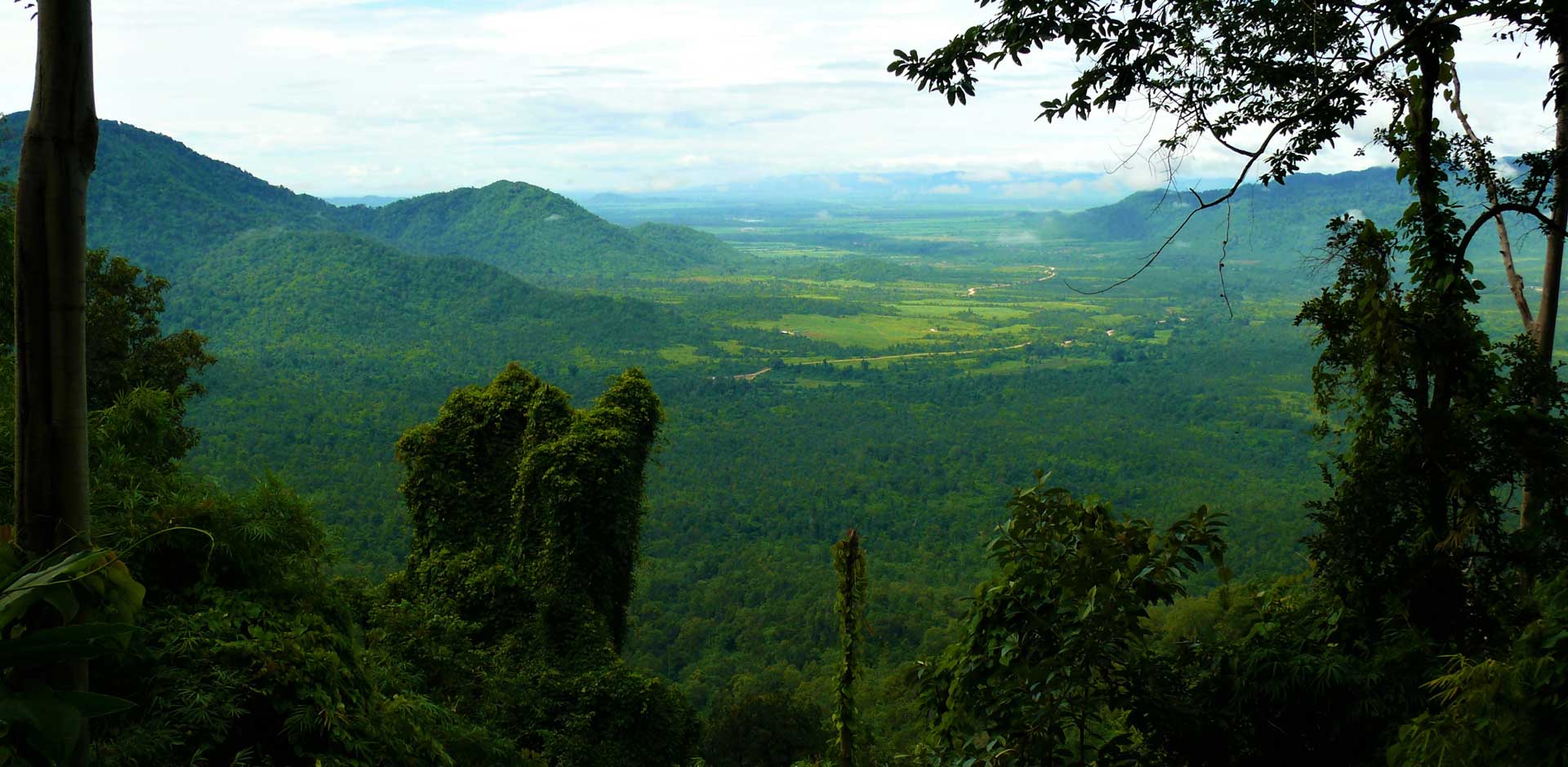 Cardamom Mountains