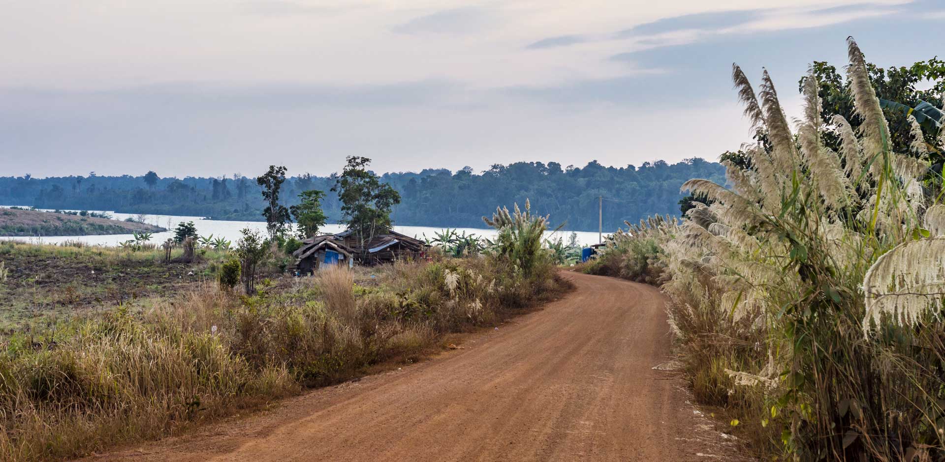 Cardamom Mountains