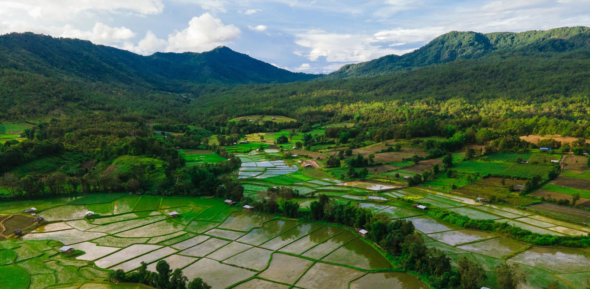 Chiang Rai