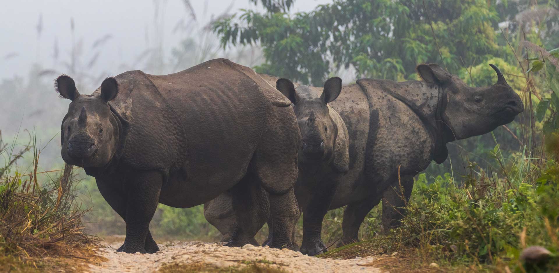 Chitwan National Park