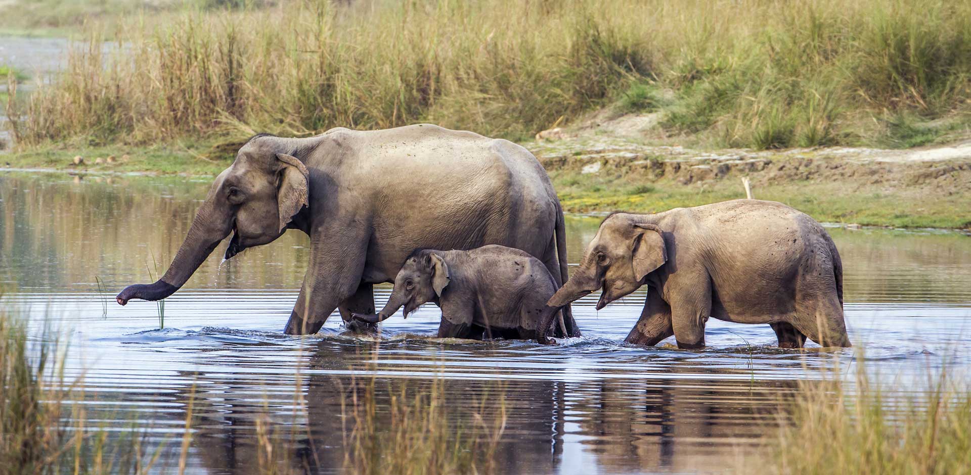 Chitwan National Park