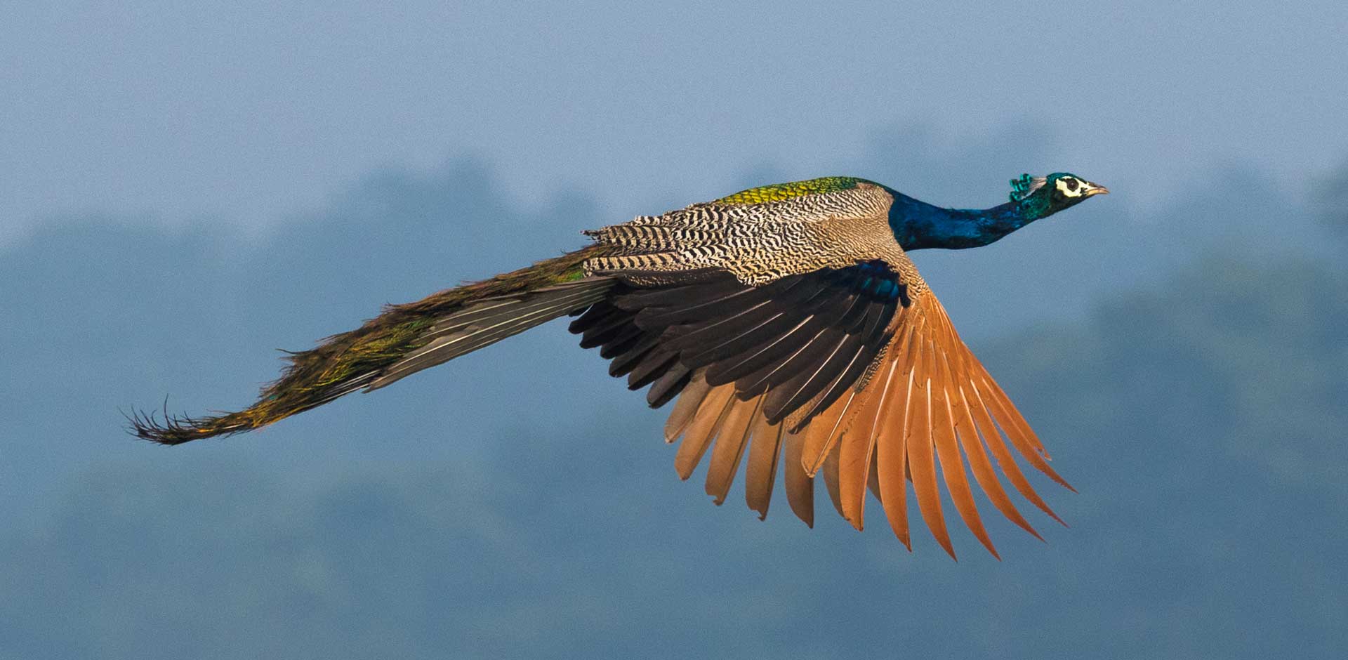 Chitwan National Park