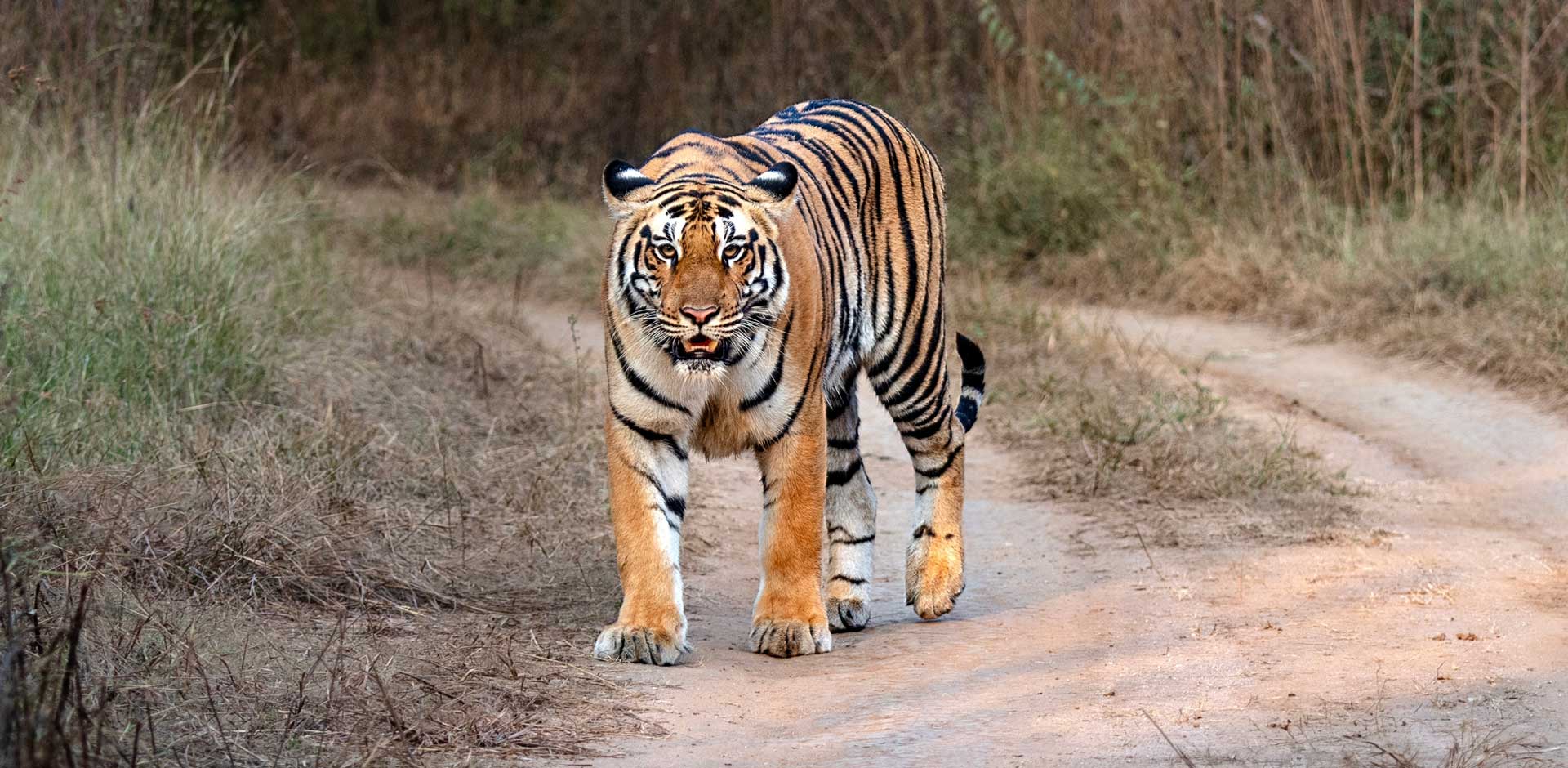 Chitwan National Park