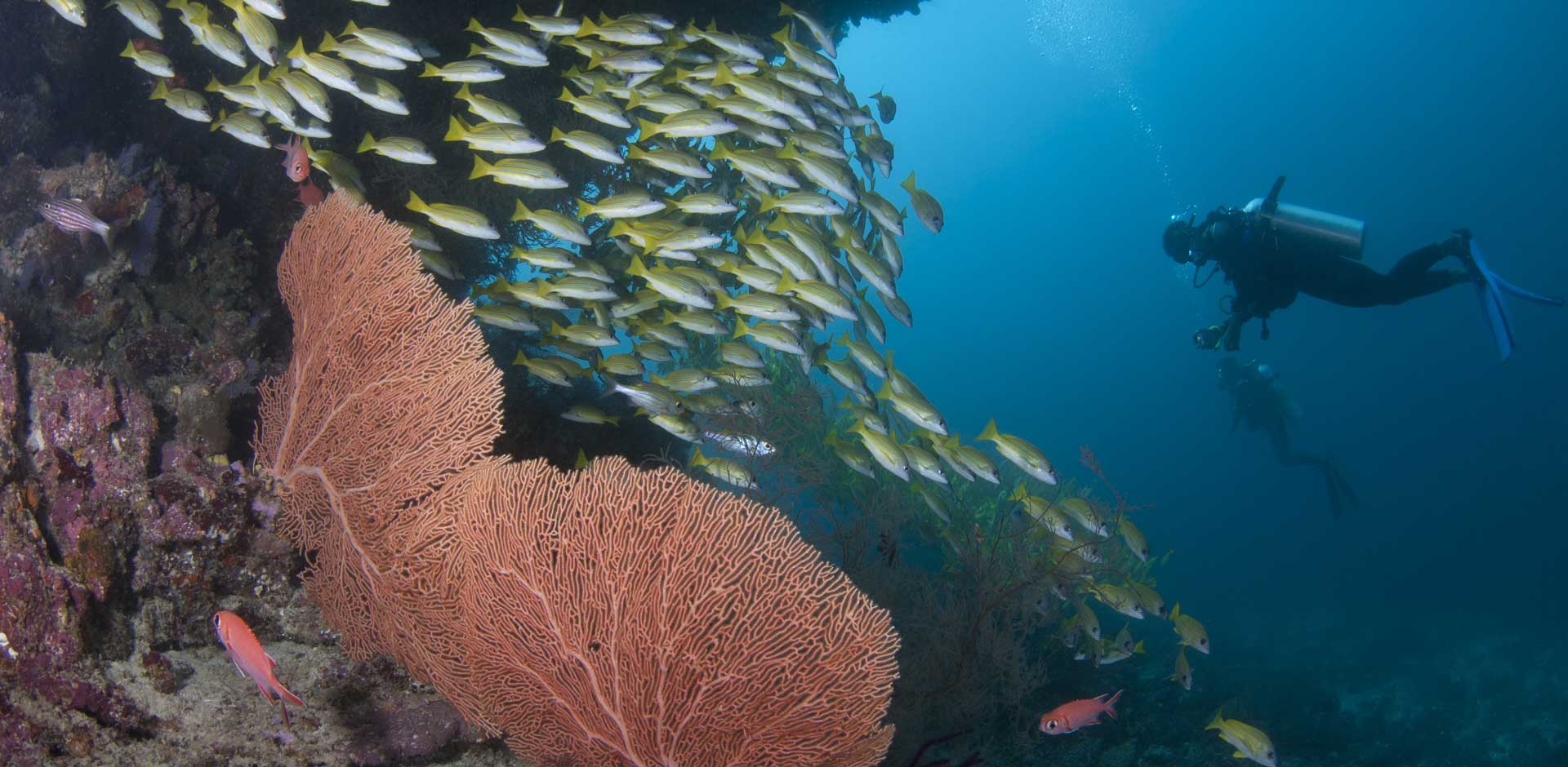 Dhaalu Atoll