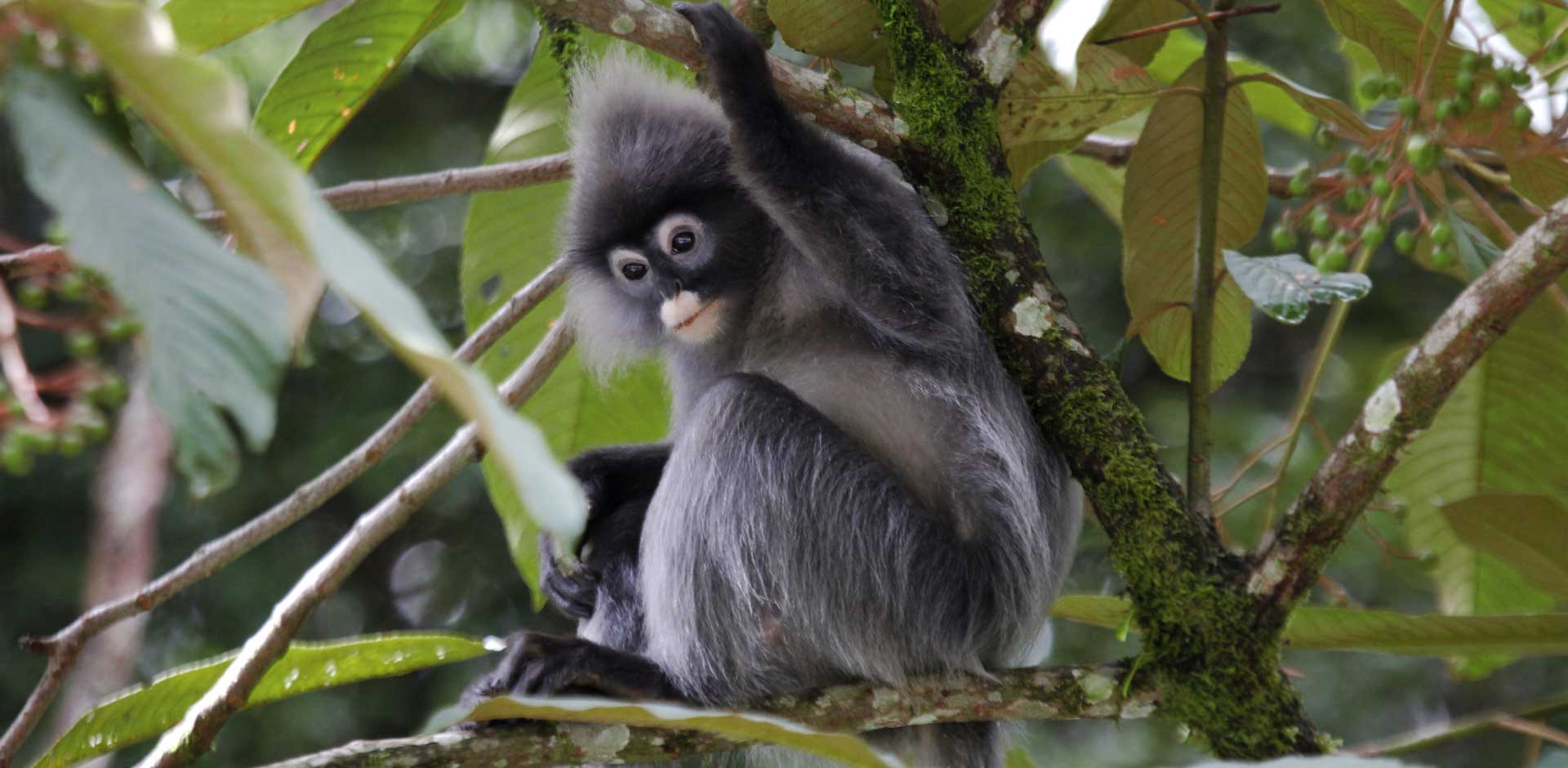 Doi Inthanon National Park