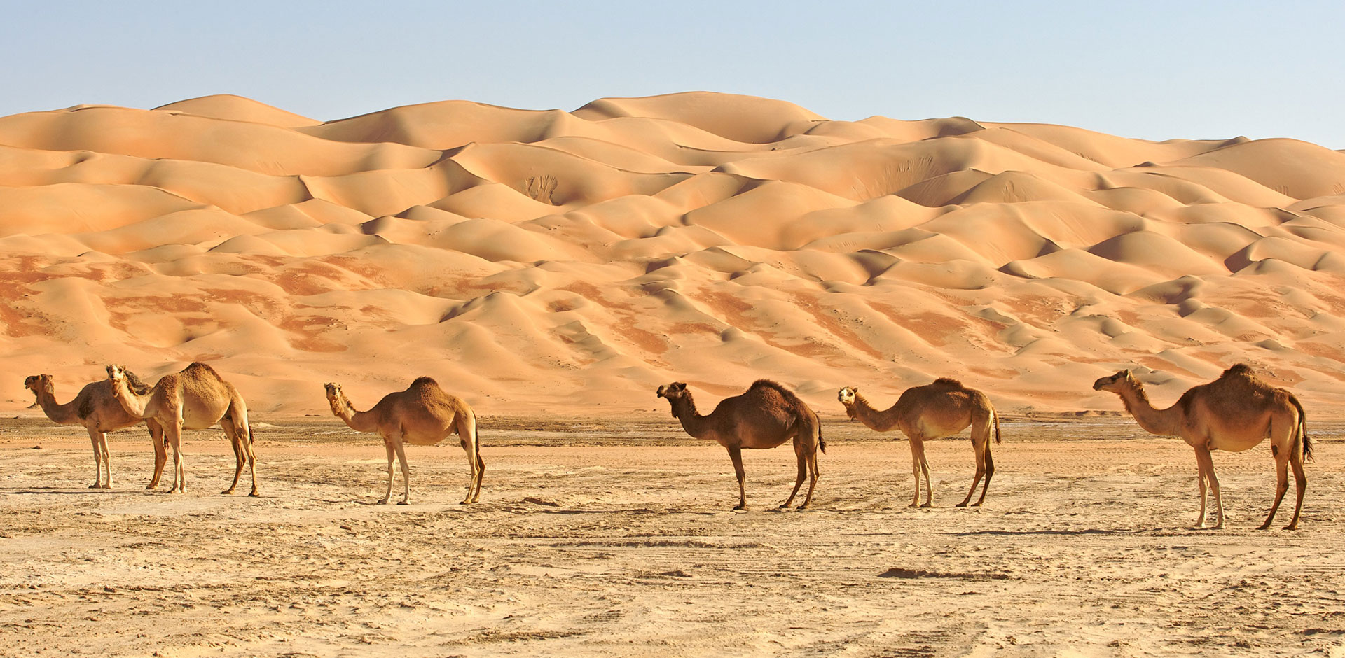 Empty Quarter