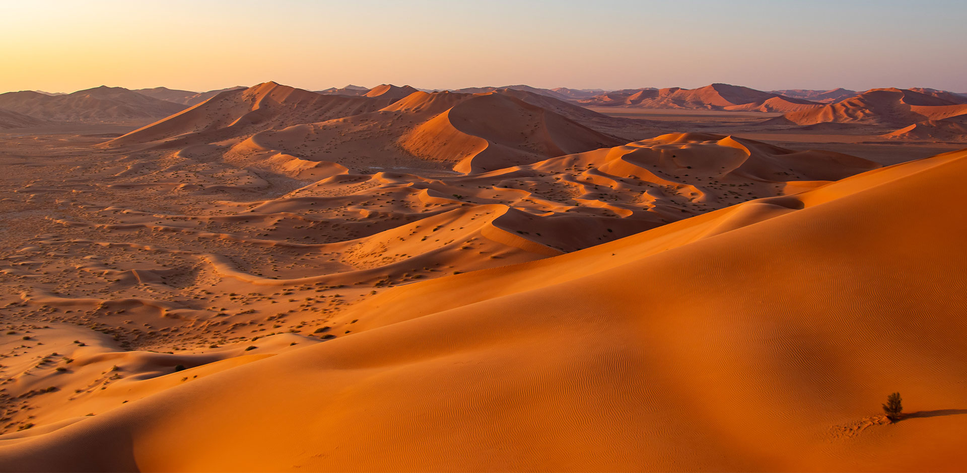 Empty Quarter