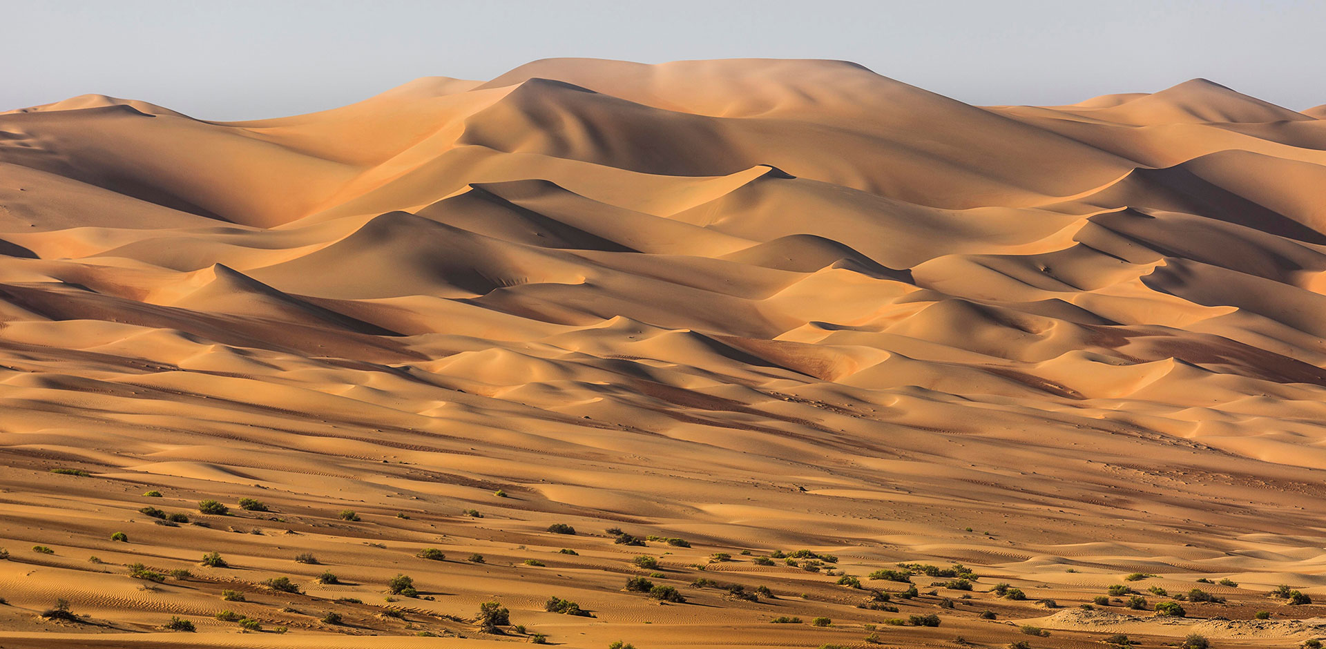 Empty Quarter