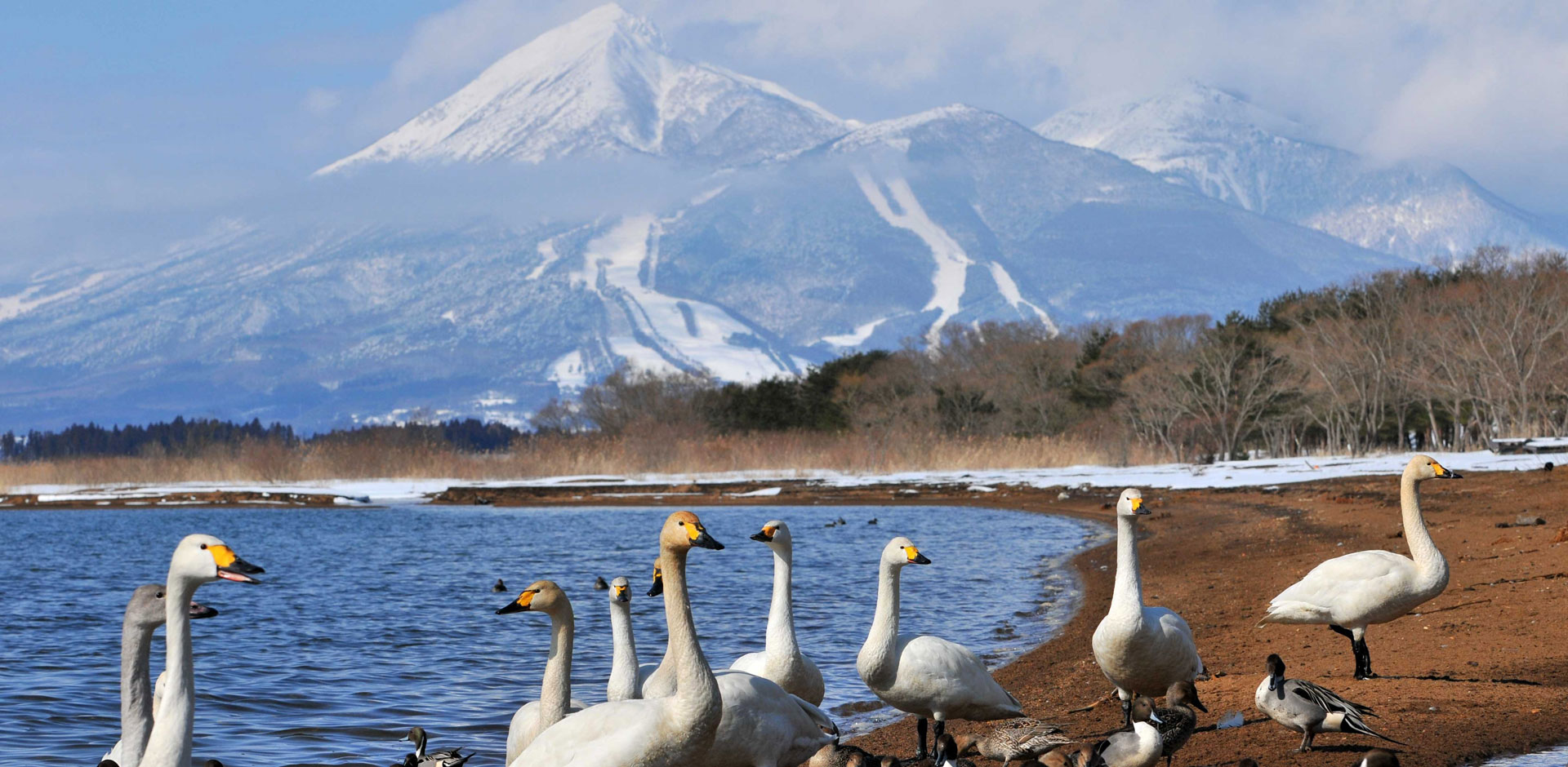 Fukushima