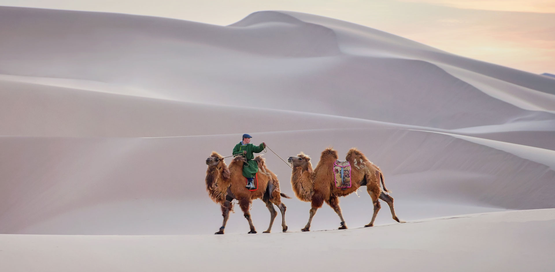 Gobi Desert