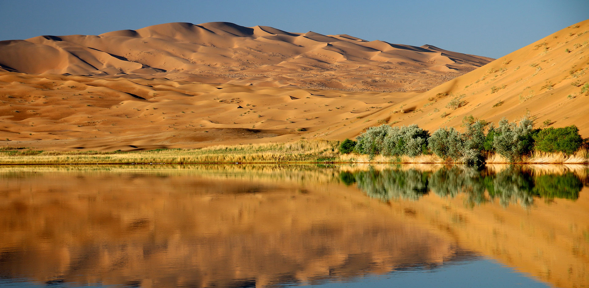 Gobi Desert