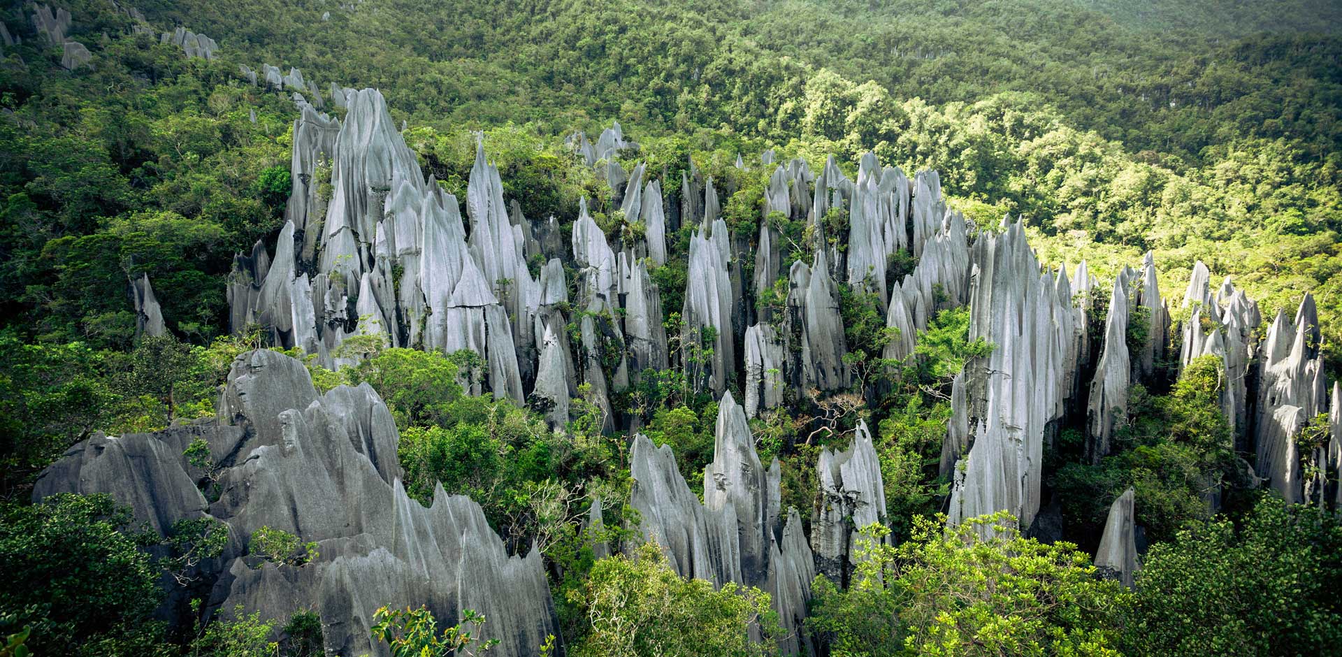 Gunung Mulu National Park